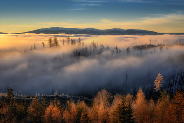 fog in the foothills of the High Tatras at sunrise near Strbske pleso