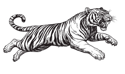 Fototapeta premium Fierce roaring tiger in motion - black and white vector, linear icons set.