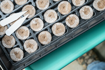 Compacted peat pellets or pods in a black tray on a bright blue-green cart, used to start seeds by...