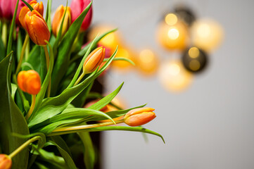 Bukiet tulipanów tulipan  © Grzegorz