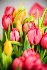 Bukiet tulipanów tulipan 