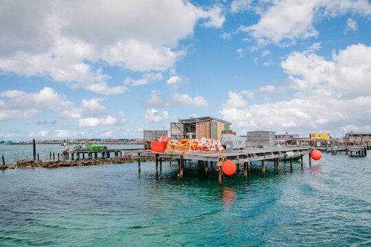 Horizontal shot of commercial cray fishing buoys and rope on a jetty