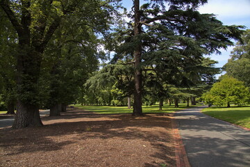 Nature in Fitzroy Gardens in Melbourne,Victoria,Australia
