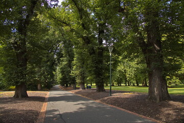 Nature in Fitzroy Gardens in Melbourne,Victoria,Australia
