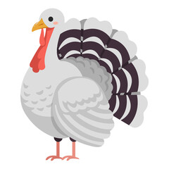 Cute turkey illustration