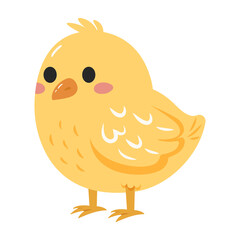 Cute chick illustration