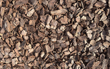 Texture of natural mulch from tree bark close-up