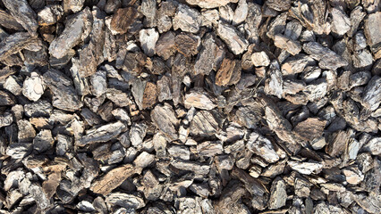 Close-up of pieces of tree bark