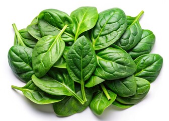 Fototapeta premium Crisp spinach leaves, perfectly isolated on a pure white backdrop. High-resolution image ideal for web and print.