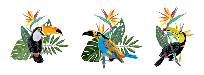 Set of Tropical compositions with exotic leaves, flowers and toucans. Tucan bird sitting on the branch. Colorful vector illustrations isolated on transparent background. PNG. Sticker.