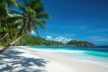 Tropical paradise beach scene with lush palm trees, turquoise water, and white sand