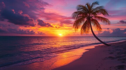 Solitary palm tree beneath a striking sunset sky