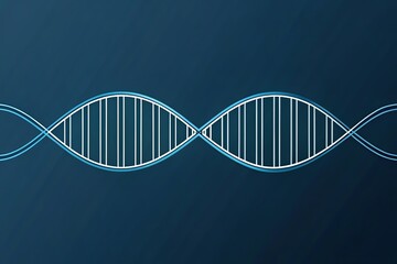 Minimalist single-line DNA drawing; abstract scientific art depicting the genetic code's elegance.