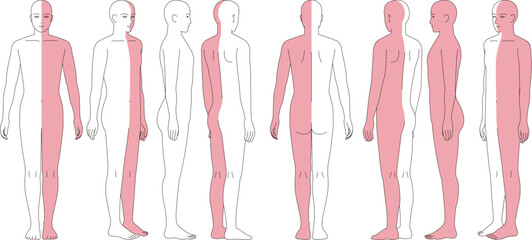 半身色分けした人体のイラスト。前面、背面、斜めの略図。