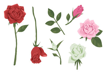 バラのイラスト素材