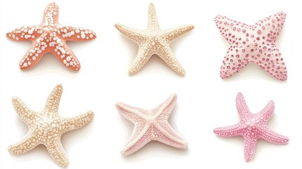 Six Pastel Starfish on White Background Diverse Colors and Patterns