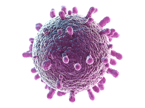 Microscopic view of a virus particle, a detailed 3D render.  Ideal for medical, scientific, or educational materials, illustrating concepts of microbiology and virology.