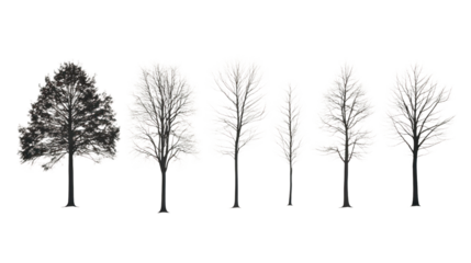 A collection of six different tree silhouettes in various shapes and sizes, showcasing the diversity of tree forms against a clear white background.