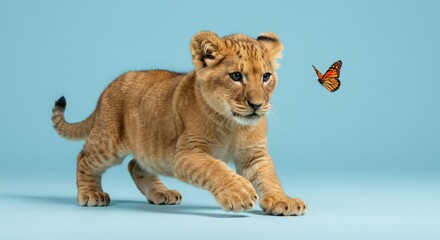 Obraz premium Lion cub pouncing on butterfly