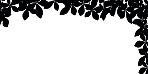 Silhouette of chestnut leaves forming a decorative frame on a white background.