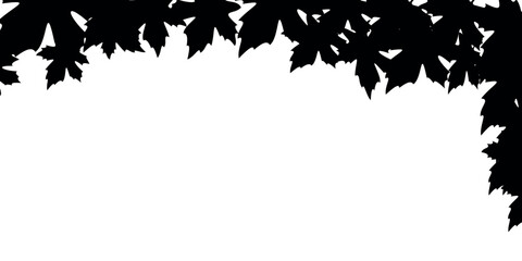 Silhouette of maple leaves forming a decorative border at the top, isolated on a white background.
