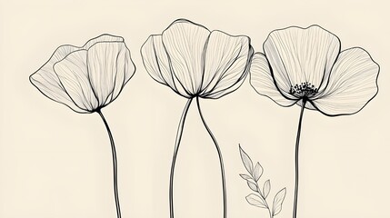 Minimalist Line Drawing of Flowers and Petals.
