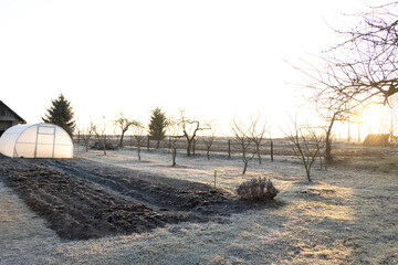 spring frosts on the grass in the garden plot at dawn