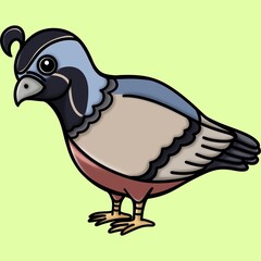 Fototapeta premium Quail clip art cartoon character isolated on green
