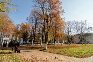 Peaceful City Park With Autumn Foliage and Benches in Morning Light..