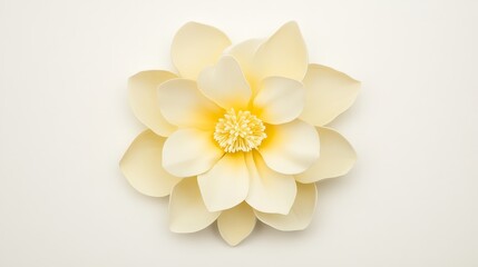 Obraz premium Intricate paper flower artwork on white background stunning display of floral craftsmanship