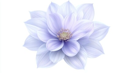 Fototapeta premium Exquisite white flower with purple tipped petals closeup view of nature delicate beauty