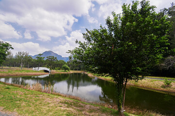 Obraz premium A serene landscape with a small tree by a pond, a white bridge, and distant mountains under a partly cloudy sky.