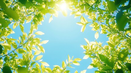 Obraz premium Beautiful leaves against a bright sky creating a refreshing atmosphere and evoking a sense of nature and freedom