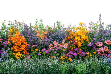 Obraz premium A vibrant assortment of blooming flowers featuring diverse colors and types, set against a white isolated background.