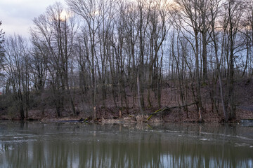 Obraz premium Melting Ice on a Forest Pond in Early Spring