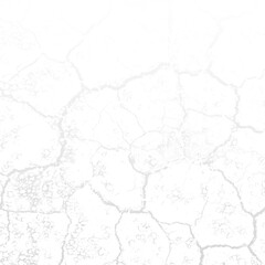 white old cracked texture