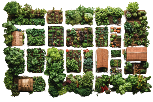 Aerial view of an organized vegetable garden featuring diverse plants, wooden sheds, and vibrant crops, arranged in patterned plots.