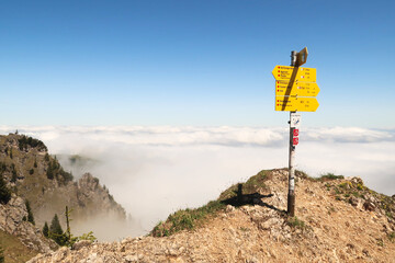 Signpost, guidepost, trail sign in front of a white sea of clouds, fog, Mount Aggenstein, Alps, Allgaeu, Germany