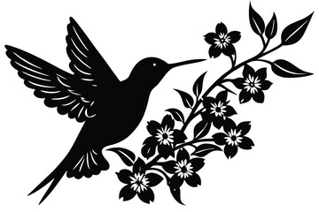 Flying hummingbirds silhouette isolated on white background