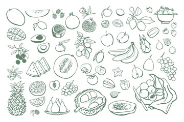 Hand drawn different fruits set. Vegan food collection in sketch style