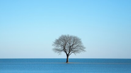 A lone tree, its branches reaching skyward, stands silhouetted against a pristine, transparent background, as if floating on a sea of pure blue.