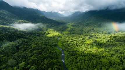 A breathtaking view of a winding river cutting through a dense tropical forest, illustrated by the interplay of water, greenery, and majestic mountain silhouettes.
