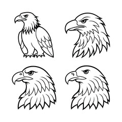 Obraz premium Black and White Eagle Illustrations with Different Head Poses