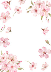 Cherry blossoms floral vertical border. Watercolor hand-painted pink sakura flowers, leaves, and buds. Spring botanical frame. PNG clipart, invite template.