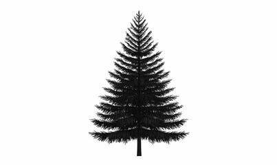 Fototapeta premium Black Silhouette of a Tall Evergreen Tree on White Background