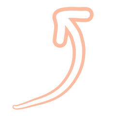 Arrow Doodle Pastel Colorful Brush Outline Cute Hand Drawn Shape