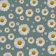 Cute white floral background design
