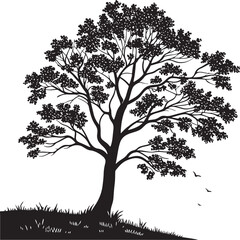 Obraz premium Maple tree silhouette vector illustration