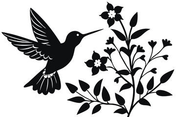 Obraz premium Silhouette hummingbird and flower isolated on white background