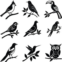 Obraz premium set of birds on the tree branch icon